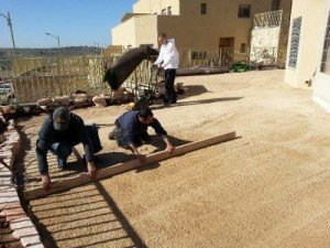 דשא סינטטי